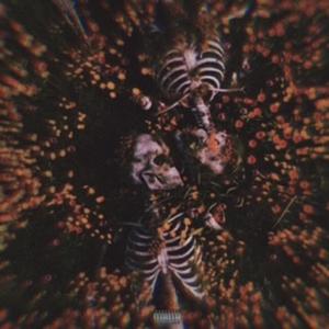 נє мє ѕυιѕ αттαcнє́ α тσι