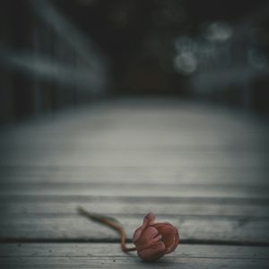 《秋夜街头的情感》