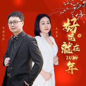 好运就在2024年 (DJ版)