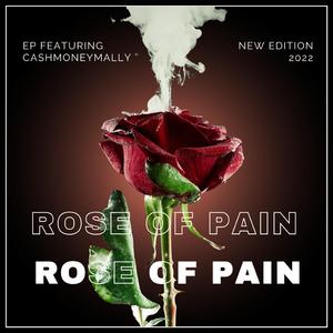 COLD PALLETS (feat. CASHMONEY MALLY)