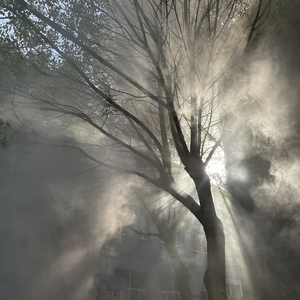 爱是共同撑一把漏雨的伞