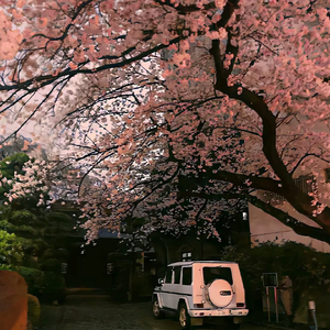 缘始于遇见 情长于陪伴