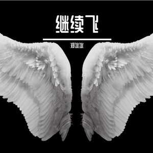 继续飞 (DJ小波版)