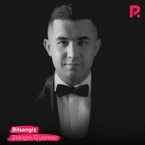 Bilsangiz