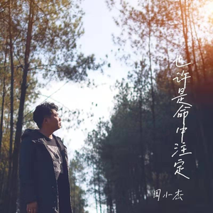 也许是命中注定