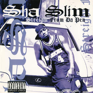 Somethin' Ta Pimp To (Re-mix)