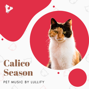 Straight Outta Catnip