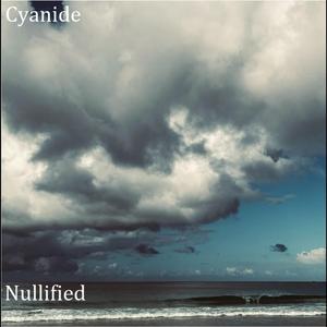 Nullified (Album Version)