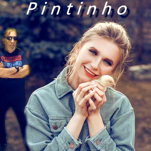 Pintinho