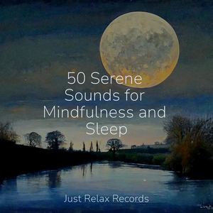 Melancholy's Gentle Stream