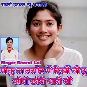मोकु लालसोट में दिखीं ची टू कोपी छौरी थारी सी