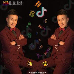 DJ浩宝-阿撸啊嘿呀（DJ浩宝 remix）