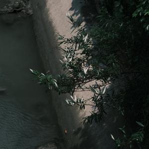 我的灵魂还是灵魂吗