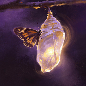 茧From the Chrysalis