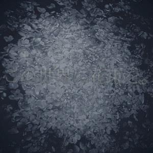 この世界に花束を。