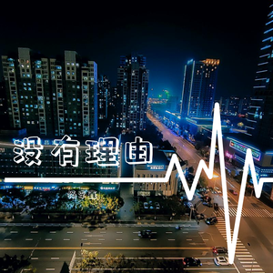 没有理由