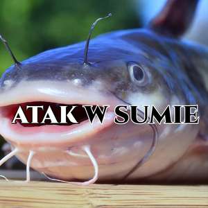 Atak w Sumie
