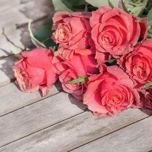 【Scorpio】＂U＂ Love Song Type Beat