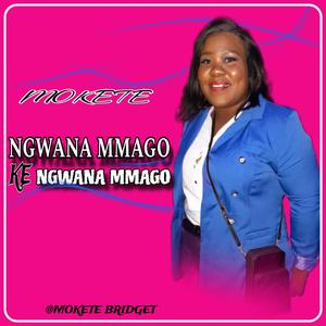 Sekolo re tseni efela meshomo ya gana