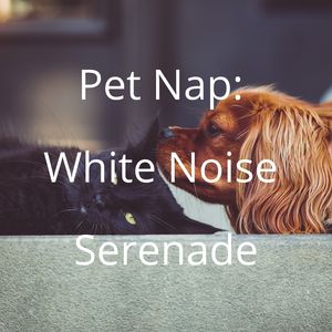 Whispering Whiskers White Noise Harmony