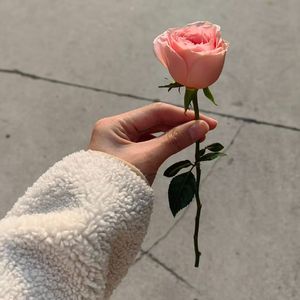 赠玄元友生辰歌