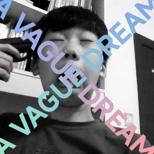 一场模糊的梦境