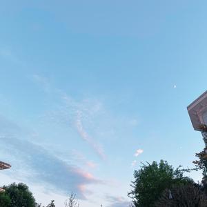 成都（翻自 曲肖冰）