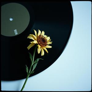 우린 어디서부터 잘못된 걸까