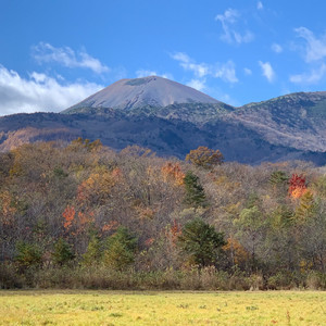 はじまりのうた