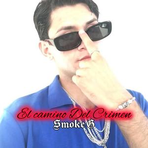El Camino Del Crimen
