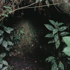 humid (free Mumia, free them all)