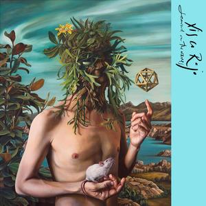 Dance of the Dunlins