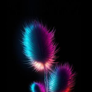 扬名四海