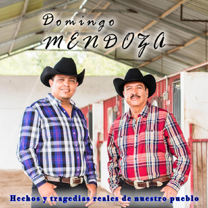 La Historia del Centenario