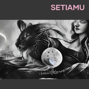 SETIAMU (Acoustic)