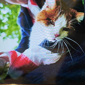 我的余光里有一个噪点