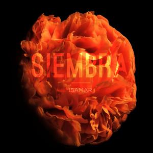 Siembra