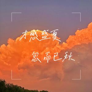 眼泪落下之前（原唱：汪苏泷）