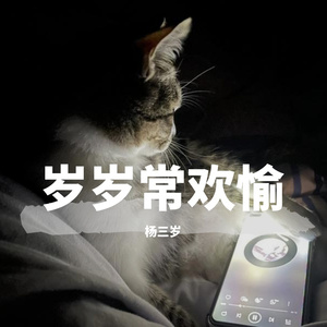 SSr-桃花劫~7（杨三岁 remix）