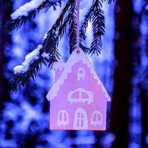 Finest (feat. New Flips on the Block)