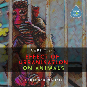 Effect of Urbanisation on Animals (Flute Instrumental) [feat. Ashish Venkateswaran & Sankararaman Krishnamoorthi]