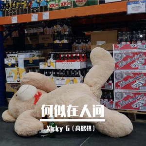 何似在人间（feat.张庆峰）