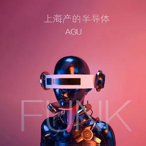 上海产的半导体