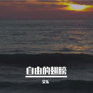 自由的翅膀