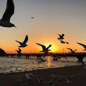 钞票才是梦想 (DJ版)