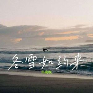 冬雪如约来 (节奏卡点版)