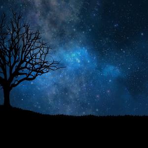 君は私の光です