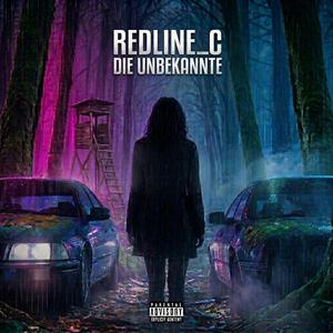 Die Unbekannte