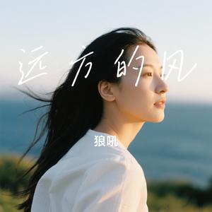 远方的风