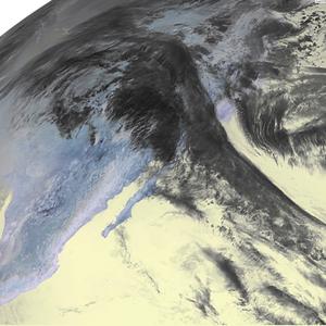 Dwayne Johnson (The Rock)